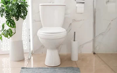 Choosing the Right Replacement Toilet: Exploring Options