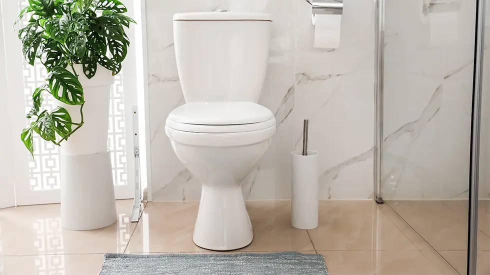 Choosing the Right Replacement Toilet