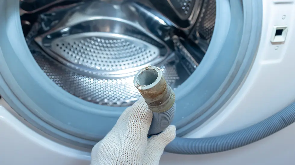 Essential Washing Machine & Hose Maintenance Tips