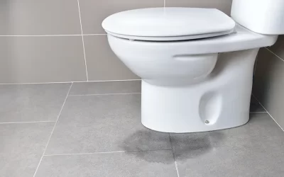 How to Detect and Repair Silent Toilet Leaks