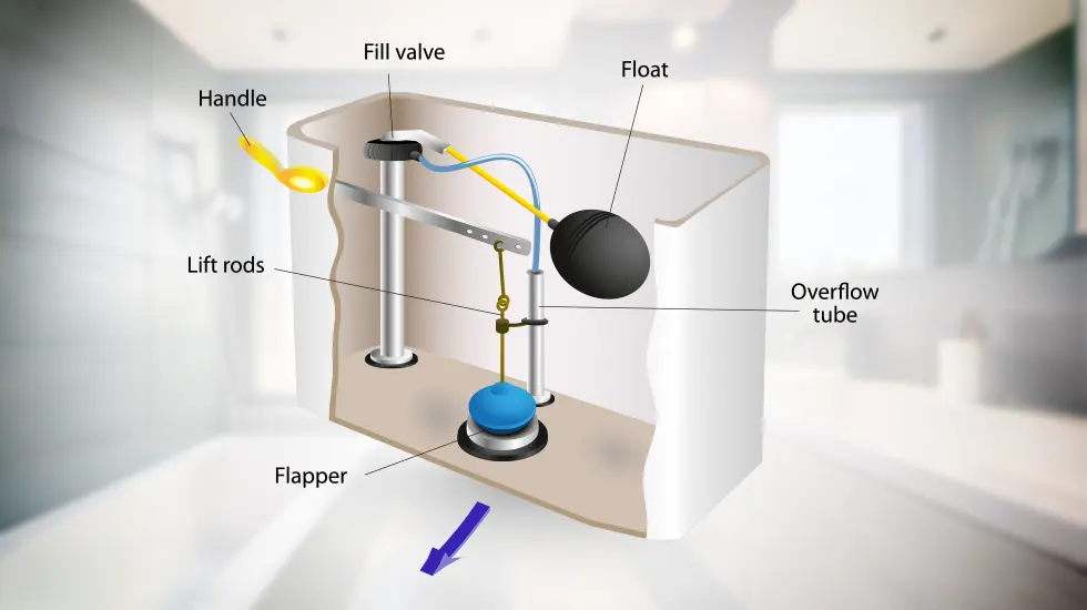 Parts of a toilet